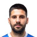 Aleksandar Mitrović