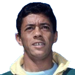 Amarildo Tavares da Silveira