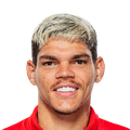 Ayrton Lucas Dantas de Medeiros
