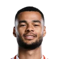 Cody Mathès Gakpo
