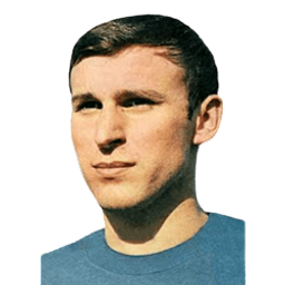 Dragan Džajić