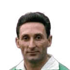 Faas Wilkes