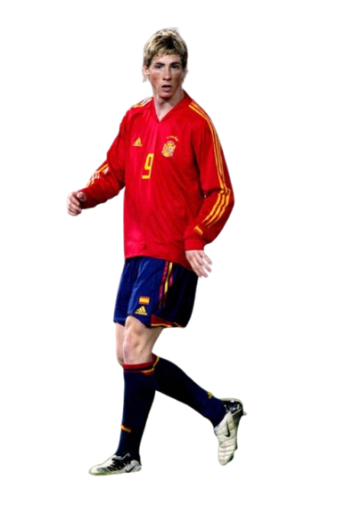 Fernando José Torres Sanz