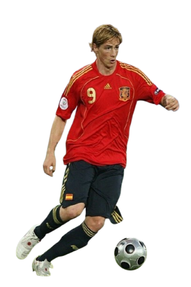 Fernando José Torres Sanz