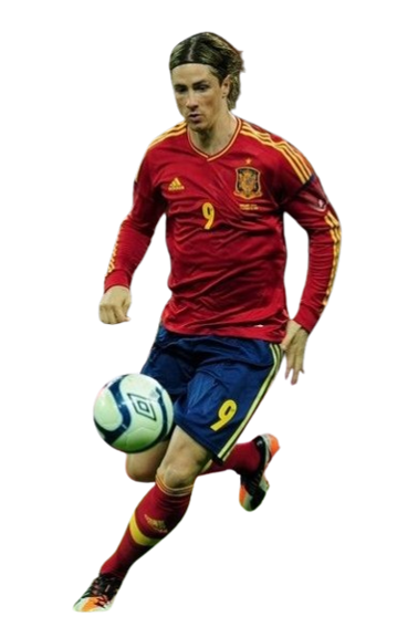 Fernando José Torres Sanz