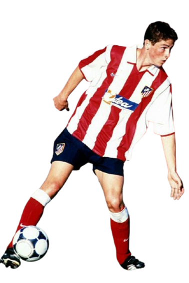 Fernando José Torres Sanz