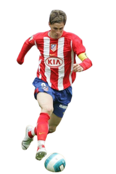 Fernando José Torres Sanz