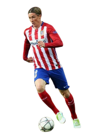 Fernando José Torres Sanz