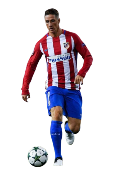 Fernando José Torres Sanz