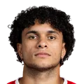 Gabriel Silva Vieira