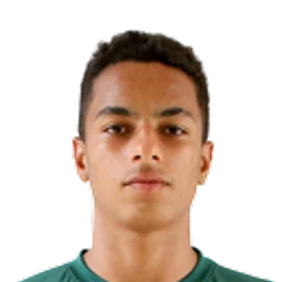 Giovani Henrique Amorim da Silva