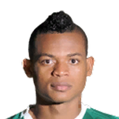 Hárold Fabián Preciado Villarreal
