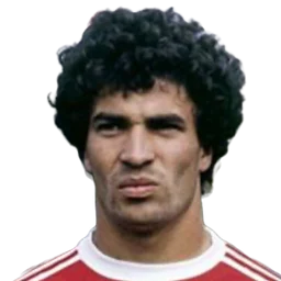 João Domingos da Silva Pinto