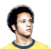 José Reinaldo de Lima