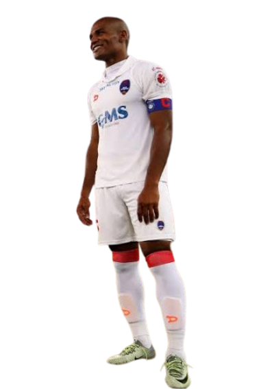 Florent Johan Malouda