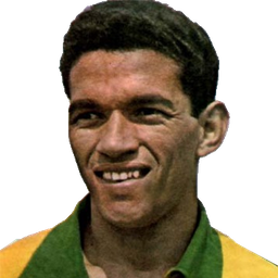 Manuel Francisco dos Santos