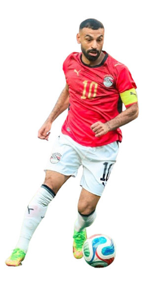 Mohamed Salah Hamed Ghaly