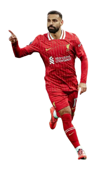 Mohamed Salah Hamed Ghaly