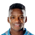 Nathan Ribeiro Fernandes