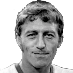Nicolae Dobrin