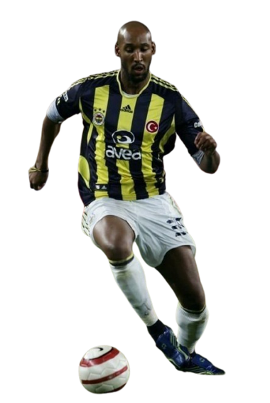 Nicolas Sebastien Anelka