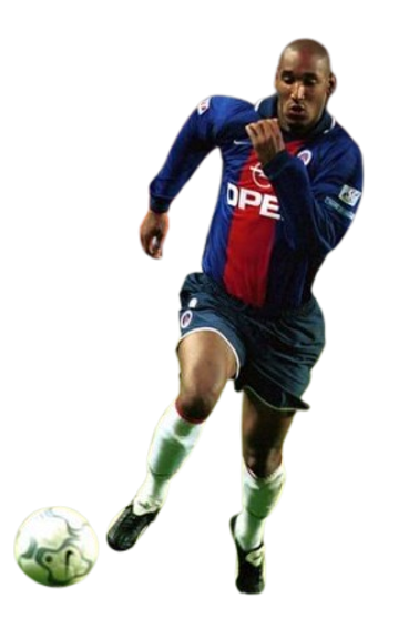Nicolas Sebastien Anelka