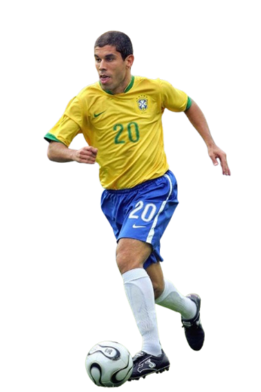 Ricardo Luis Pozzi Rodrigues