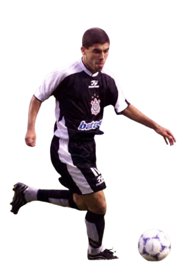 Ricardo Luis Pozzi Rodrigues