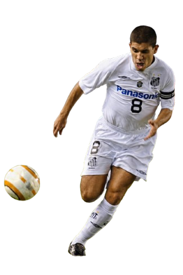 Ricardo Luis Pozzi Rodrigues
