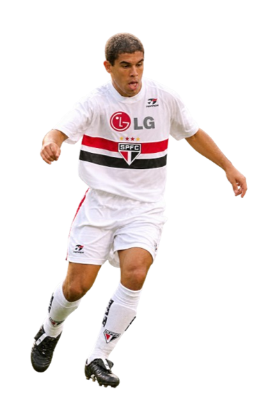 Ricardo Luis Pozzi Rodrigues