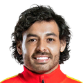 Ricardo Goulart Pereira