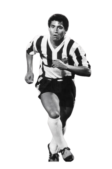 Roberto Carlos da Silva Rocha