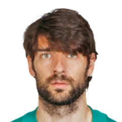 Vedran Ćorluka