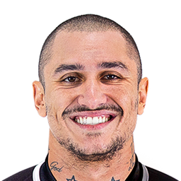 Vinicius Goes Barbosa de Souza