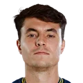 Vinicius Zanocelo