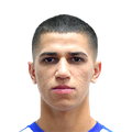 Vitor Frezarin Bueno