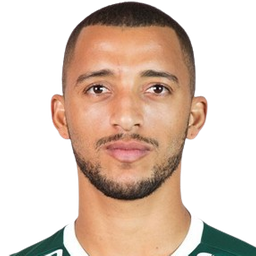 Vitor Hugo Franchescoli de Souza