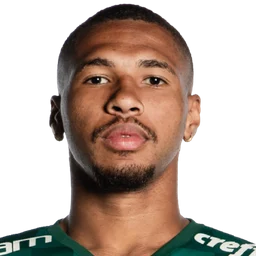 Wesley Ribeiro da Silva