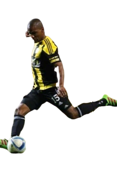 Florent Johan Malouda