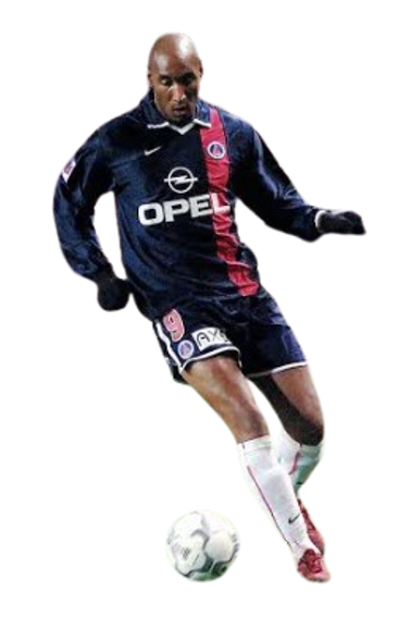 Nicolas Sebastien Anelka