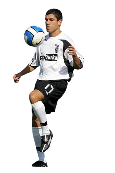 Ricardo Luis Pozzi Rodrigues